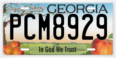 GA license plate PCM8929