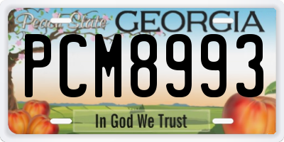 GA license plate PCM8993