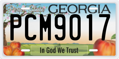 GA license plate PCM9017