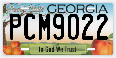 GA license plate PCM9022