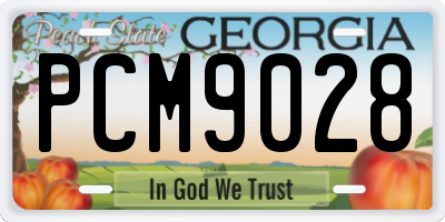 GA license plate PCM9028