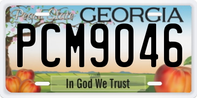 GA license plate PCM9046