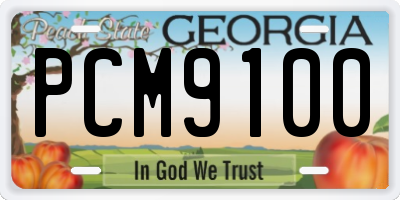 GA license plate PCM9100