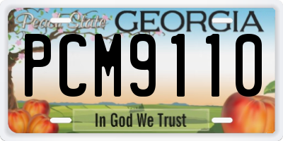 GA license plate PCM9110