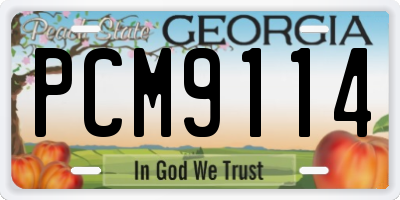 GA license plate PCM9114