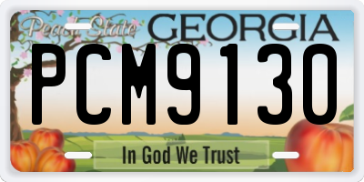 GA license plate PCM9130