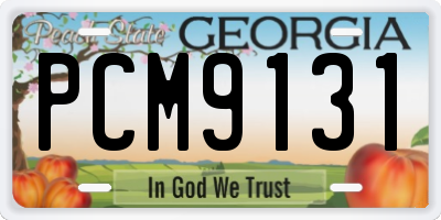 GA license plate PCM9131