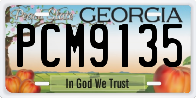 GA license plate PCM9135