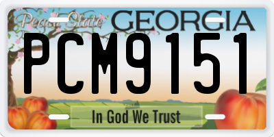 GA license plate PCM9151