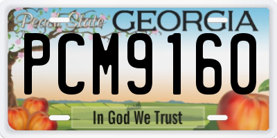 GA license plate PCM9160