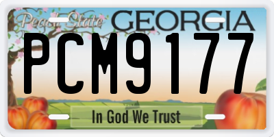 GA license plate PCM9177