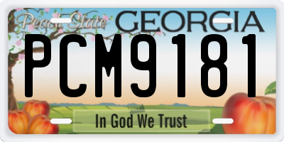 GA license plate PCM9181