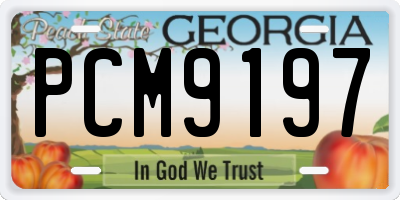GA license plate PCM9197