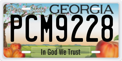 GA license plate PCM9228