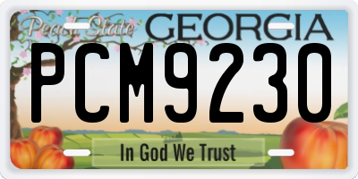 GA license plate PCM9230