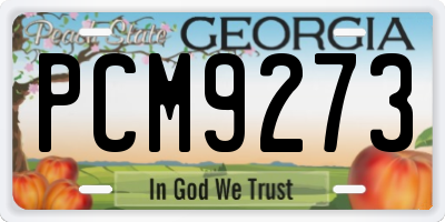 GA license plate PCM9273