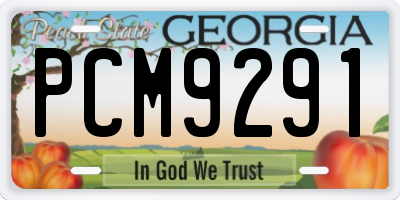 GA license plate PCM9291
