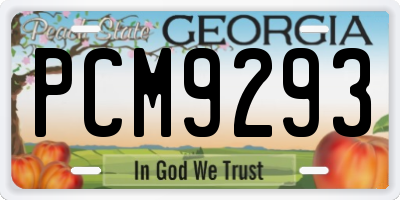 GA license plate PCM9293