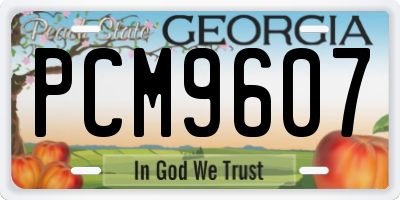 GA license plate PCM9607