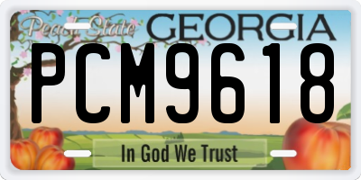 GA license plate PCM9618