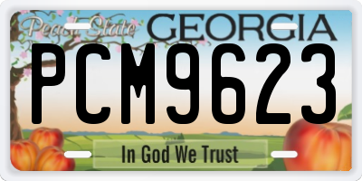 GA license plate PCM9623