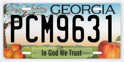 GA license plate PCM9631
