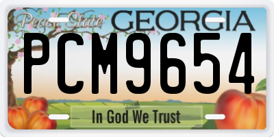 GA license plate PCM9654