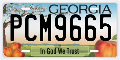 GA license plate PCM9665