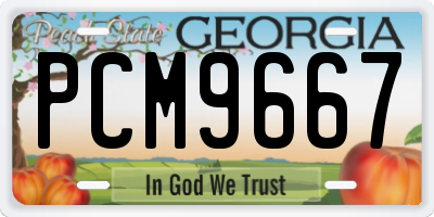 GA license plate PCM9667