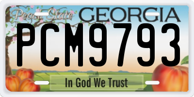GA license plate PCM9793
