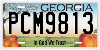 GA license plate PCM9813