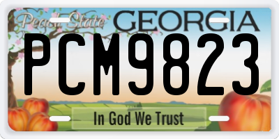GA license plate PCM9823