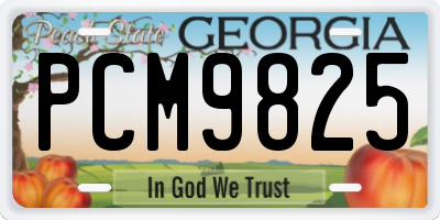 GA license plate PCM9825