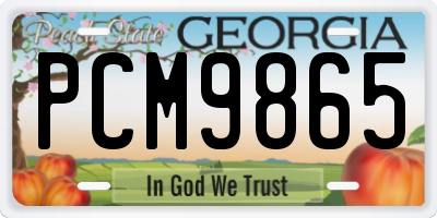 GA license plate PCM9865
