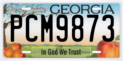 GA license plate PCM9873