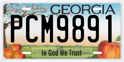 GA license plate PCM9891