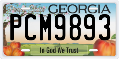 GA license plate PCM9893