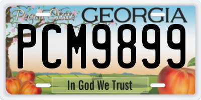 GA license plate PCM9899