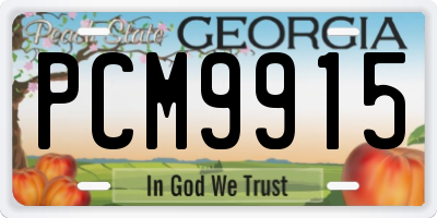 GA license plate PCM9915
