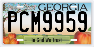 GA license plate PCM9959
