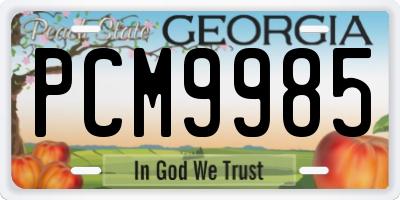 GA license plate PCM9985