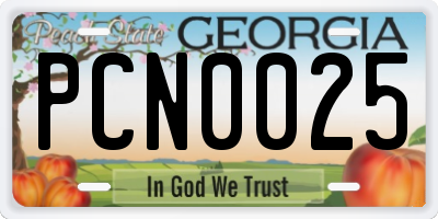 GA license plate PCN0025