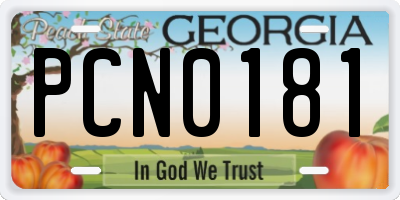 GA license plate PCN0181