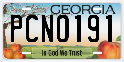 GA license plate PCN0191