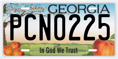 GA license plate PCN0225