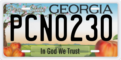 GA license plate PCN0230