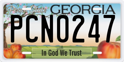 GA license plate PCN0247