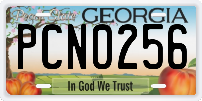 GA license plate PCN0256