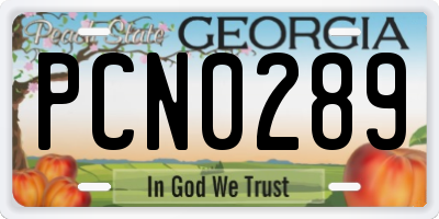 GA license plate PCN0289