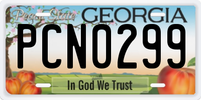 GA license plate PCN0299